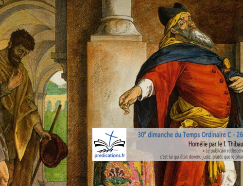 Homélie du 30e dimanche du Temps Ordinaire : le Publicain et le Pharisien