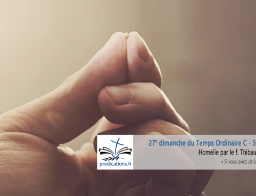 Homélie du 27e dimanche du Temps Ordinaire : petite catéchèse sur la foi