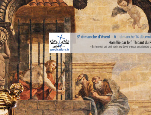 Homélie pour le 3e dimanche de l&rsquo;Avent A : Dimanche de Gaudete