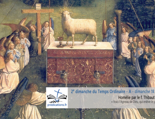 Homélie pour le 2e dimanche du Temps Ordinaire A : Voici l&rsquo;Agneau de Dieu