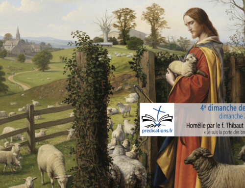 Homélie pour le 4e dimanche de Pâques : Dimanche du Bon Pasteur et du Bon Berger