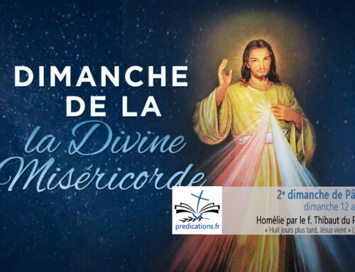 Homélie pour le 2e dimanche de Pâques A : dimanche de la Miséricorde