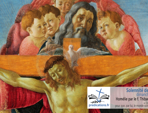 Homélie pour la Solennité de la Sainte Trinité A