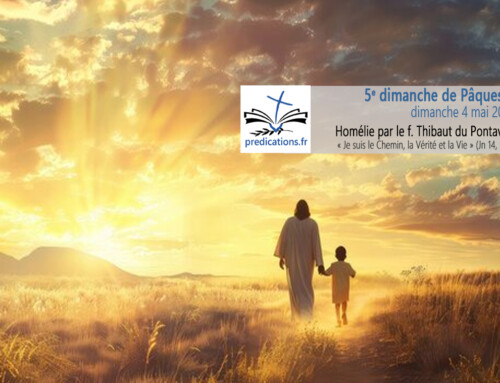 Homélie pour le 5e dimanche de Pâques A : Je suis le Chemin, la Vérité et la Vie